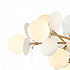 Подвесная люстра Lumien Hall Ilmari LH4136/12P-GD-WT