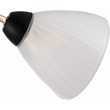 Потолочная люстра Napoli 324108/3 BK+FG