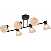 Потолочная люстра 01553-3.3-06B BK+CR