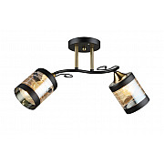 Потолочная люстра SL1N 000066053