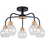 Потолочная люстра Rachel FR5092PL-05B