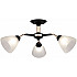 Потолочная люстра Napoli 324108/3 BK+FG