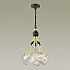 Подвесная люстра Odeon Light Stono 4789/5A