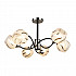 Потолочная люстра Seven Fires Долиани 66400.01.13.06