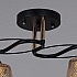 Потолочная люстра 06087-0.3-02 BK+FG