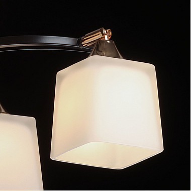 Потолочная люстра Тетро 673018104