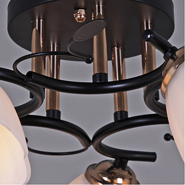 Потолочная люстра 10134-0.3-05 BK+FG