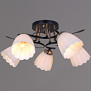 Потолочная люстра 10134-0.3-05 BK+FG