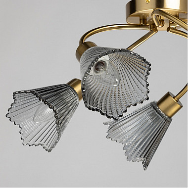 Потолочная люстра Восторг 242018205