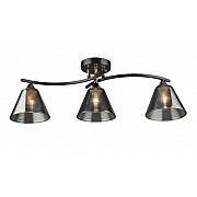 Потолочная люстра SL1N 000065849