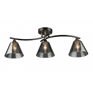 Потолочная люстра SL1N 000065849