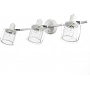 Спот Смит CL530530