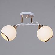 Потолочная люстра 06117-0.3-02 WH+FG