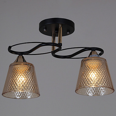 Потолочная люстра 06087-0.3-02 BK+FG