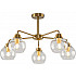 Потолочная люстра Neptune FR5176PL-05BS