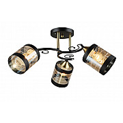 Потолочная люстра SL1N 000066054