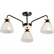 Потолочная люстра Дэла 635018003