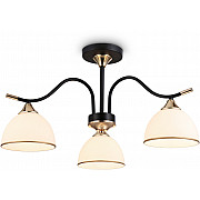 Потолочная люстра Traditional TR3161