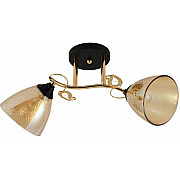 Потолочная люстра 01321-0.3-02 FGD+BK