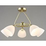 Потолочная люстра SL1N 000066041