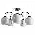 Потолочная люстра Arte Lamp Millo A9548PL-5CC