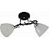 Потолочная люстра 11308-0.3-02 BK+CR