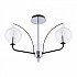 Потолочная люстра Napoli-321007 321007/3 BK.CR