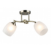 Потолочная люстра SL1N 000066056