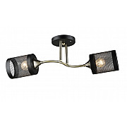 Потолочная люстра SL1N 000066050