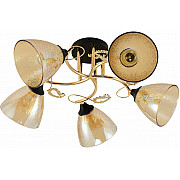 Потолочная люстра 01321-0.3-05 FGD+BK