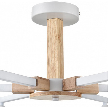 Потолочная люстра Colange 8095/6C