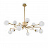 Потолочная люстра Alexis FR5120PL-12G