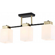 Потолочная люстра TRADITIONAL TR303046