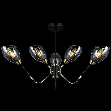 Потолочная люстра IL9960-6CSQ-79 BK AB