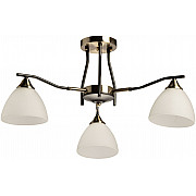 Потолочная люстра Альфа 115010103