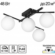 Потолочная люстра Dorsy CL223142