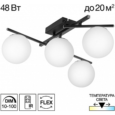 Потолочная люстра Dorsy CL223142