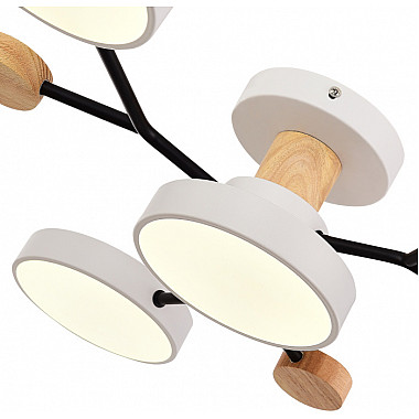 Потолочная люстра Faema SLE6006-502-04