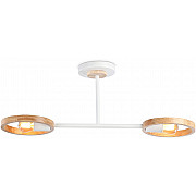 Потолочная люстра TRADITIONAL TR8243