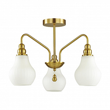 Потолочная люстра Lumion Eleonora 4562/3C