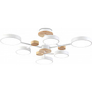 Потолочная люстра COMFORT FL4861