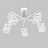 Потолочная люстра MD.4252-5-S-WH+CH