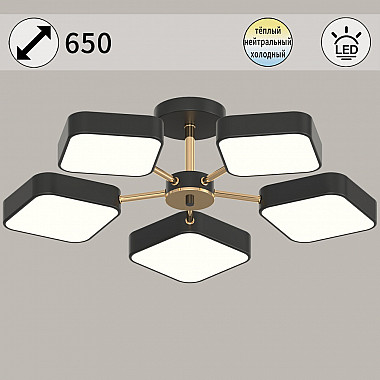 Потолочная люстра 03360-0.3-05 BK+FGD