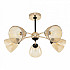 Потолочная люстра Napoli-329007 329007/5 GD.BK