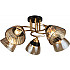 Потолочная люстра 04619-0.3-05