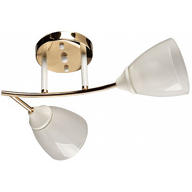 Потолочная люстра Восторг 242017802