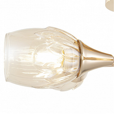 Потолочная люстра Napoli-6366 336366/5 FGD