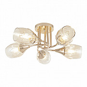 Потолочная люстра Napoli-6366 336366/5 FGD