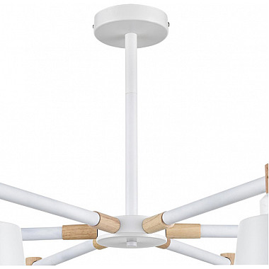 Потолочная люстра Rosalina 8097/6C