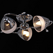 Потолочная люстра 32283-0.3-03